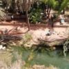 From Agadir: Paradise Valley trip