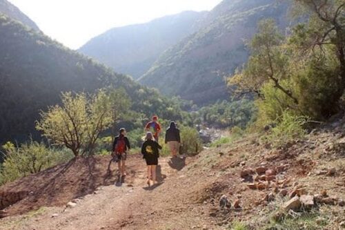 From Agadir: Paradise Valley trip